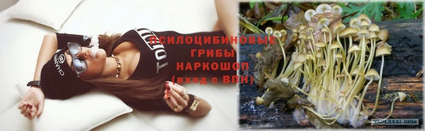 сатива Арсеньев