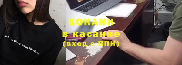 сатива Арсеньев