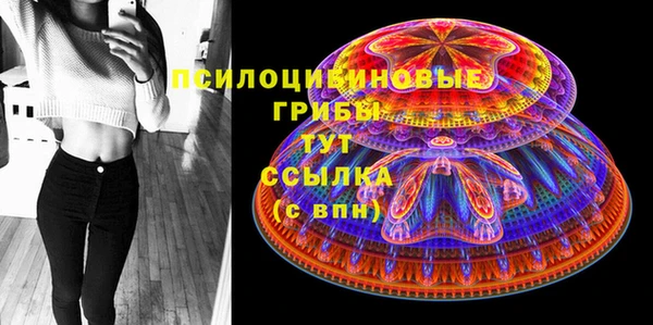 винт Аркадак