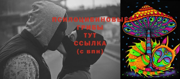 винт Аркадак