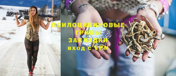 сатива Арсеньев