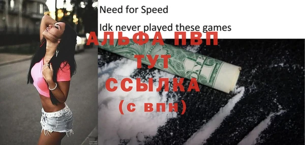 сатива Арсеньев