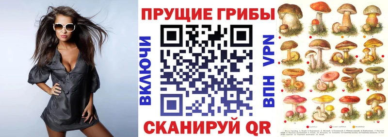 Псилоцибиновые грибы Psilocybine cubensis  Могоча 